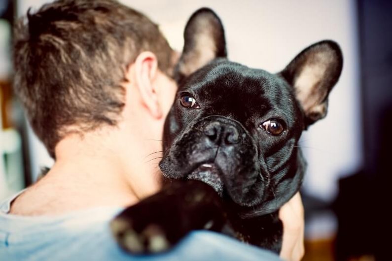 Male student hugging dog in puppy room
