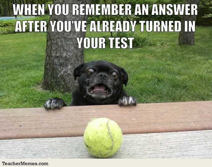 Meme of dog looking at a ball