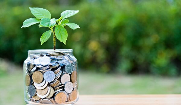 Plant growing from coin jar symbolizing student's efforts in grant writing