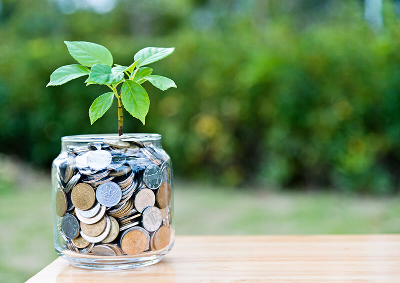 Plant growing from coin jar symbolizing student's efforts in grant writing