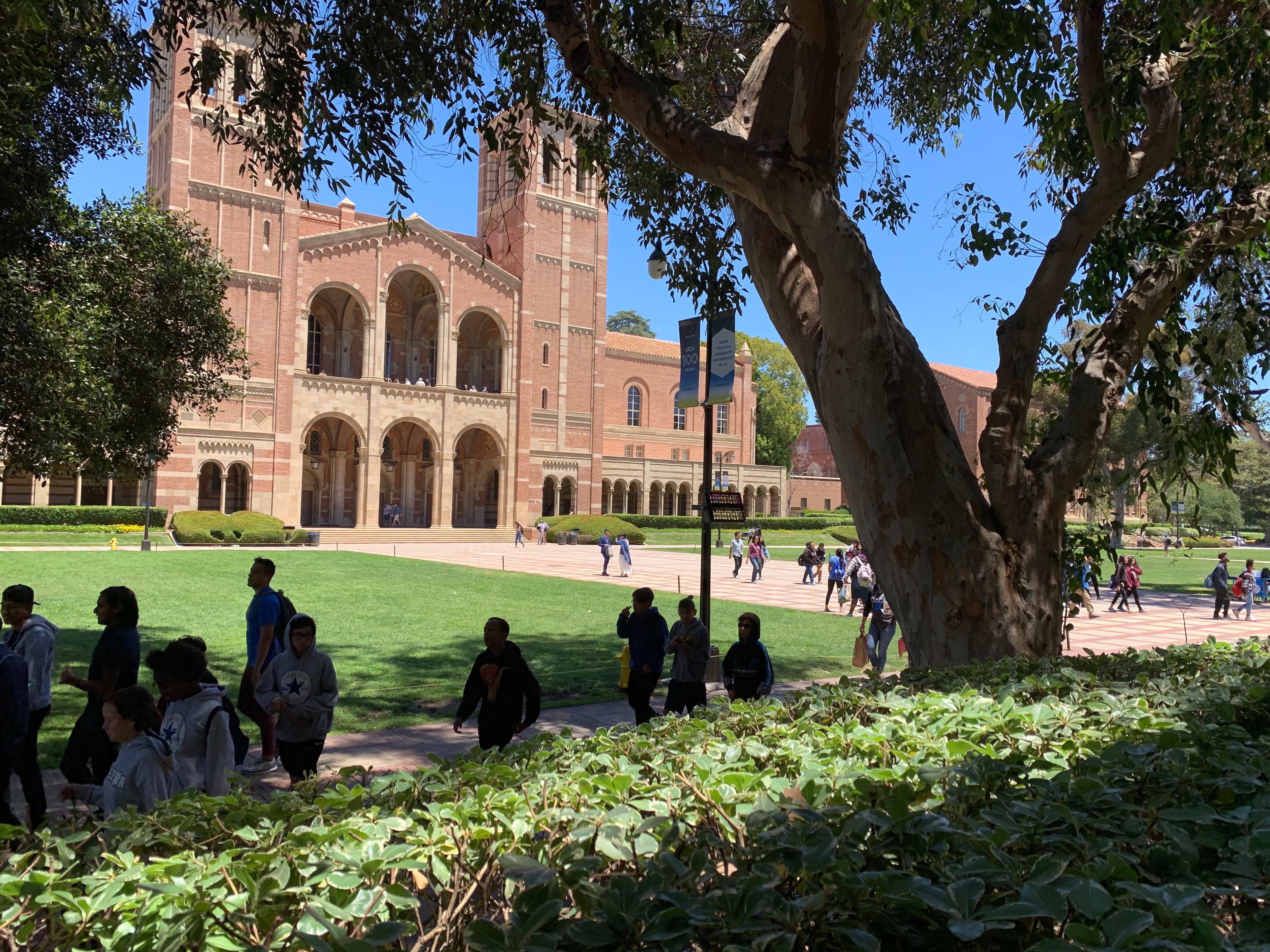 UCLA campus