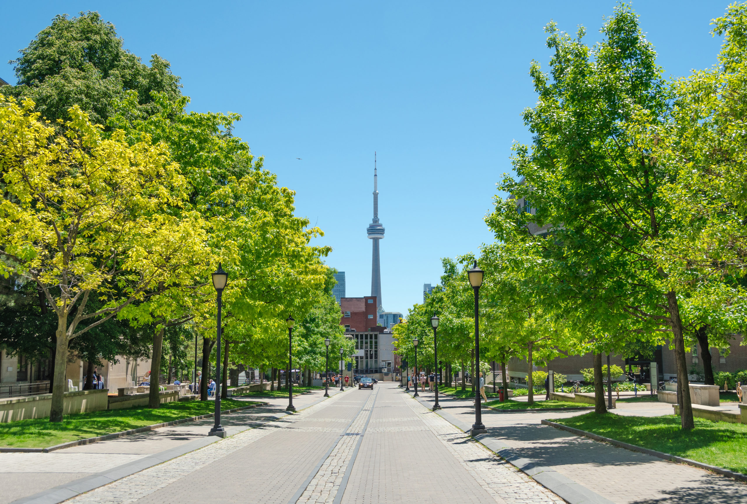 The campus at the University of Toronto in Toronto, Ontario