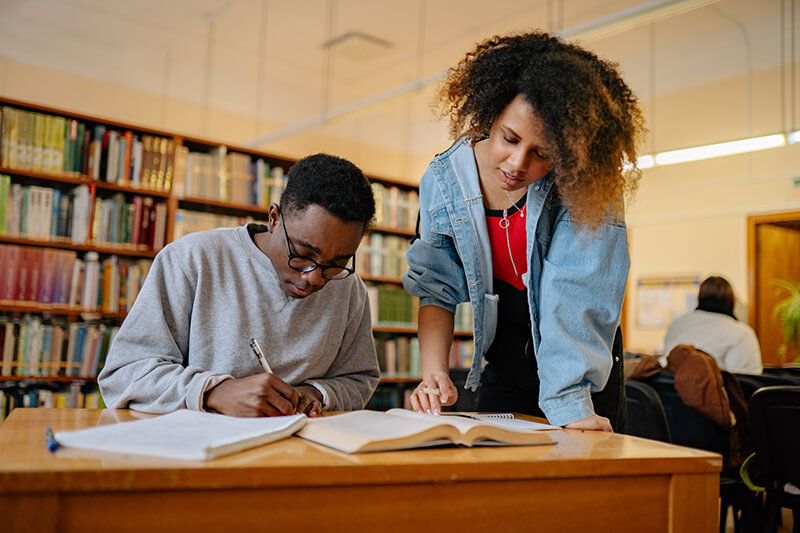 Students in a library reviewing literary devices for an expository essay