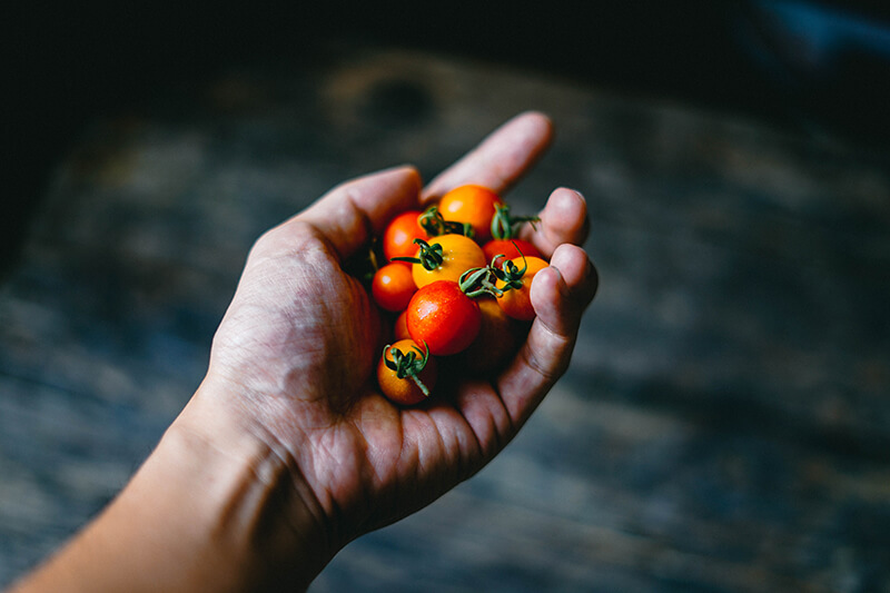 Hand with a few cherry tomatoes for studying snacks