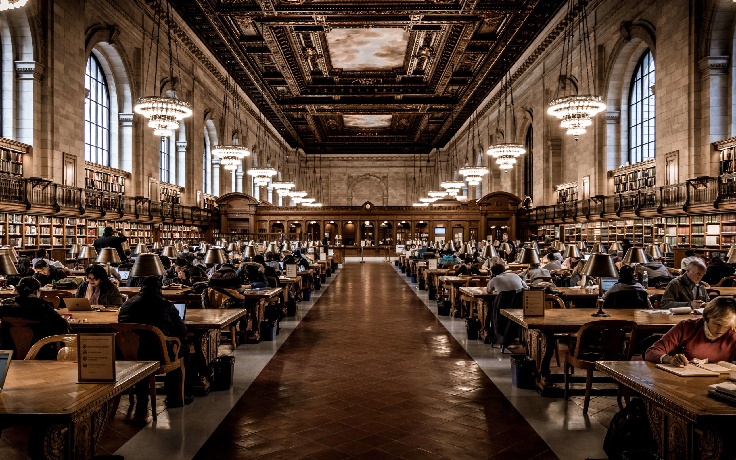 College students writing different types of essays in a library