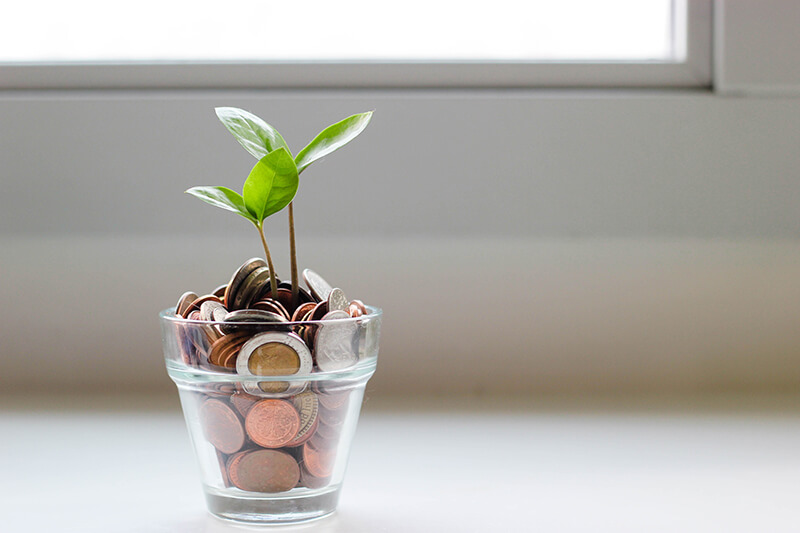 A seedling growing from a cup of coins