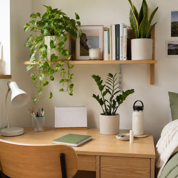dorm room idea 8