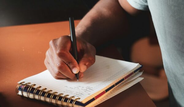 Essay hook examples guide showing 12 types of opening lines for student essays